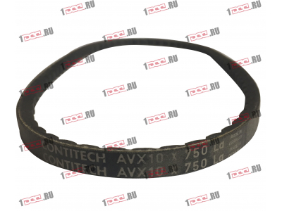 Ремень 10x750 клиновой Европа ЕВРОПА 10x750 фото 1 Пятигорск