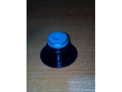 Колпачок маслосъемный DF DONG FENG (ДОНГ ФЕНГ) 3943888 для самосвала фото 1 Пятигорск