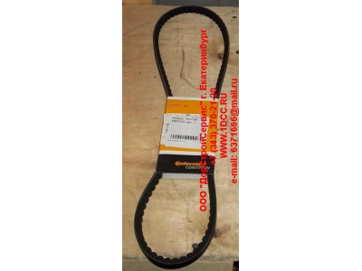 Ремень 13х1125 Европа ЕВРОПА  фото 1 Пятигорск