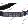 Ремень 8PK1160 SH (612600061295) SHAANXI / Shacman (ШАНКСИ / Шакман) 612600061752 фото 2 Пятигорск