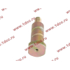 Болт торсиона кабины H2/H3 HOWO (ХОВО) AZ1642430071 фото 2 Пятигорск