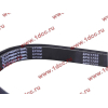 Ремень 8PK1725 DF/C CREATEK CREATEK C3911620/CK8041 фото 2 Пятигорск