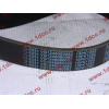 Ремень 10PK1282 D12 А7 HOWO A7 VG1246060082 фото 2 Пятигорск