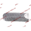 Вкладыши коренные стандарт +0.00 (14шт) LONGGONG CDM833 Lonking CDM (СДМ) 13034908/13034916 фото 2 Пятигорск