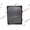Радиатор WP12 SH SHAANXI / Shacman (ШАНКСИ / Шакман) DZ95259532203 фото 2 Пятигорск