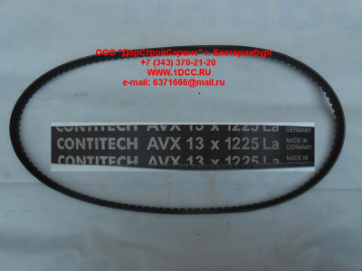 Ремень 13х1225 \Omn MAN,MB,DAF ЕВРОПА AVX13X1225 фото 1 Пятигорск