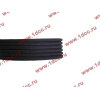 Ремень 6PK1425 A7 CREATEK CREATEK WG1246060008/CK фото 3 Пятигорск