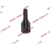 Распылитель DELPHI L337PBB DBG H HOWO (ХОВО) L337PBB фото 3 Пятигорск