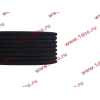 Ремень 8PK1725 DF/C CREATEK CREATEK C3911620/CK8041 фото 3 Пятигорск