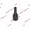 Распылитель DELFI L368PBB D12 H A7 HOWO A7 L368PBB фото 3 Пятигорск