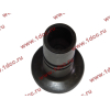 Стакан штанги-толкателя двигатель TD226B6G LONGGONG Lonking CDM (СДМ) 12273399 фото 4 Пятигорск